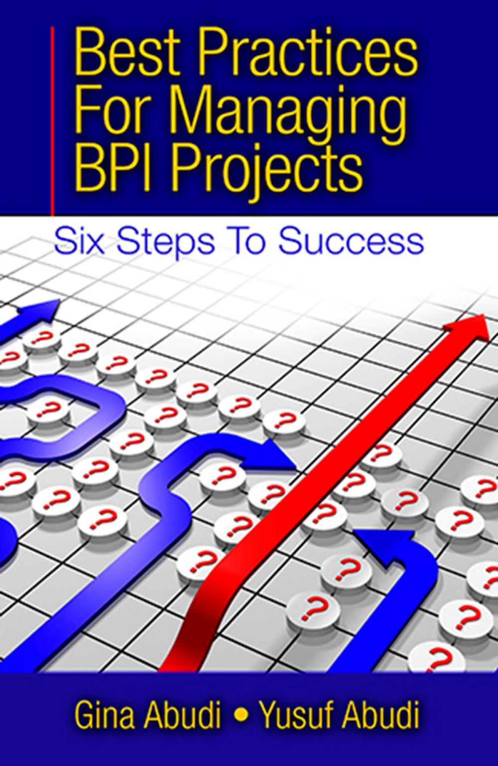 Big bigCover of Best Practices for Managing BPI Projects