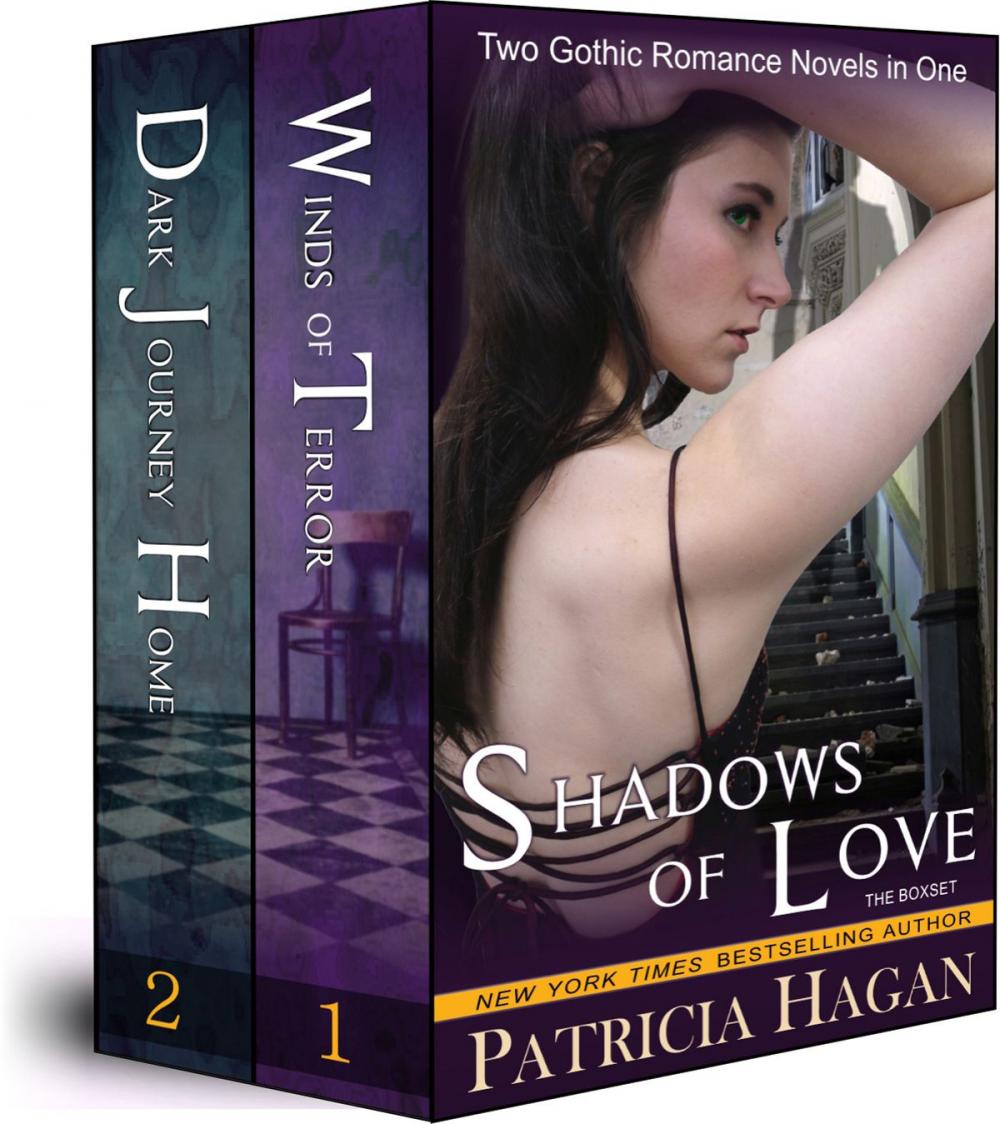 Big bigCover of Shadows of Love Boxset (Two Gothic Romance Novels in One)