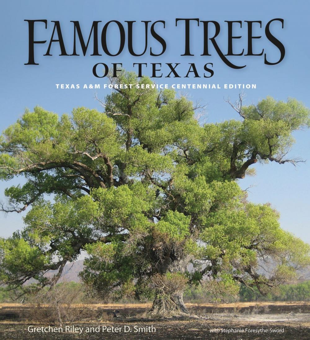 Big bigCover of Famous Trees of Texas