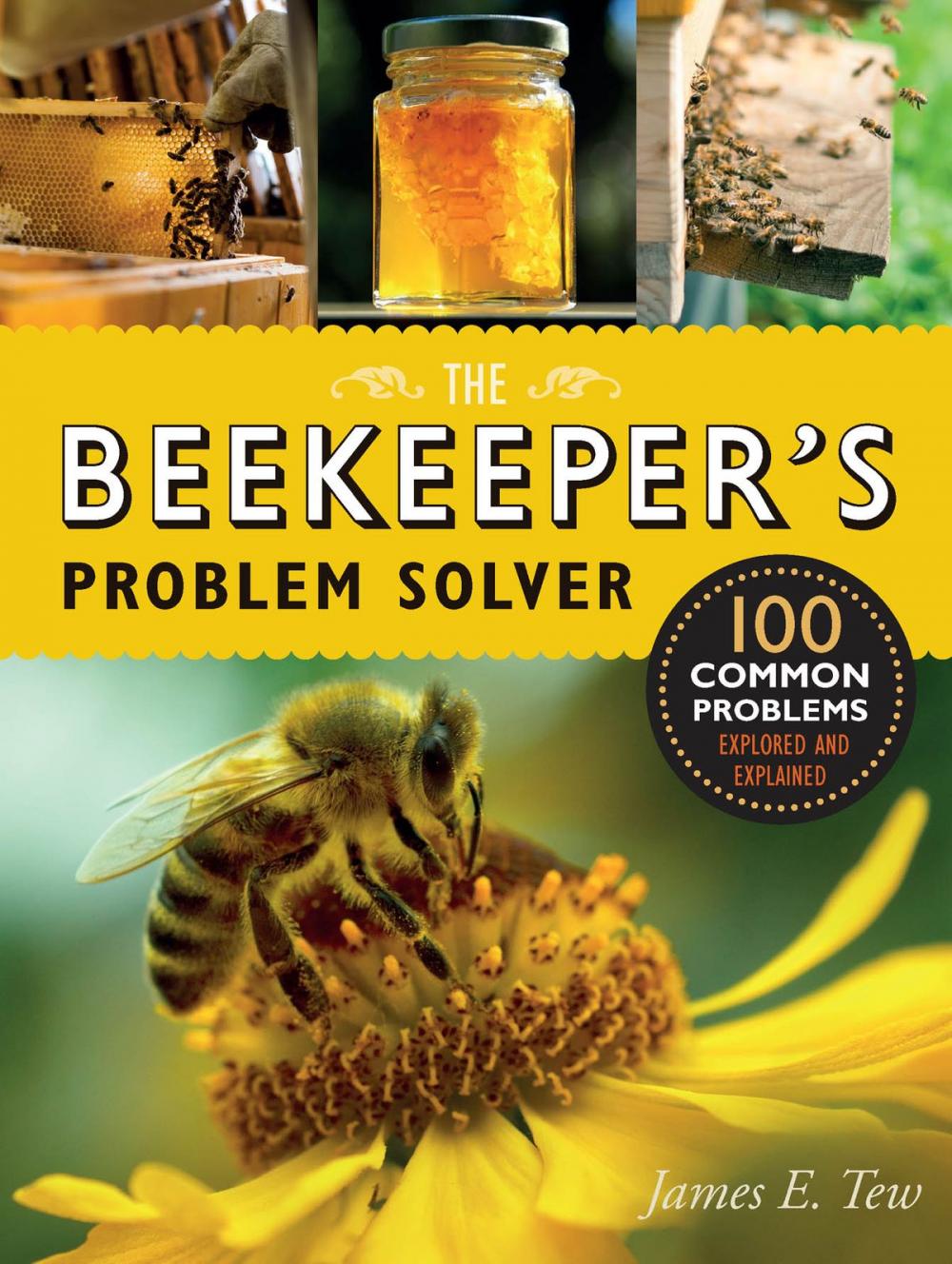 Big bigCover of The Beekeeper's Problem Solver