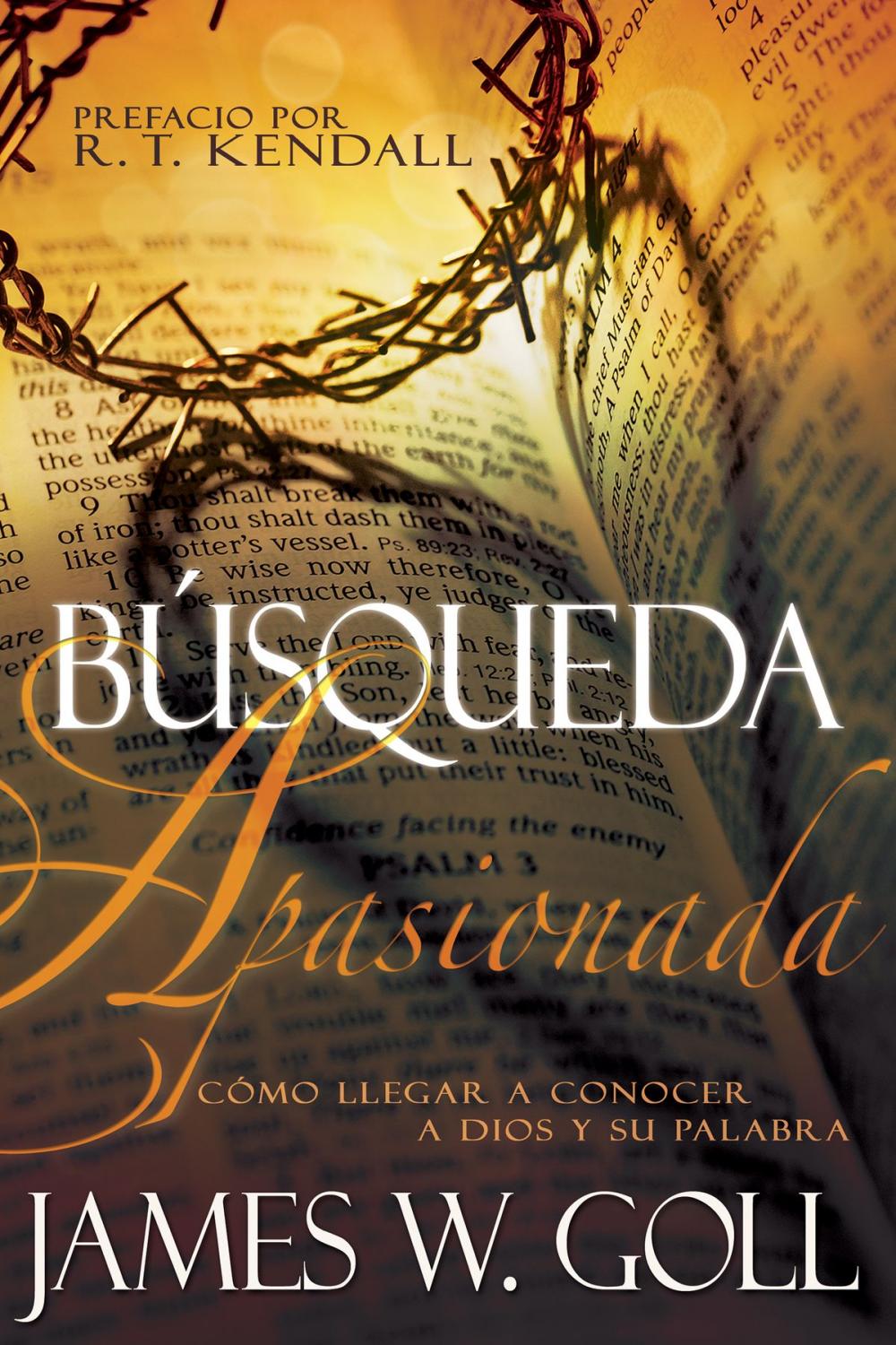 Big bigCover of Búsqueda apasionada