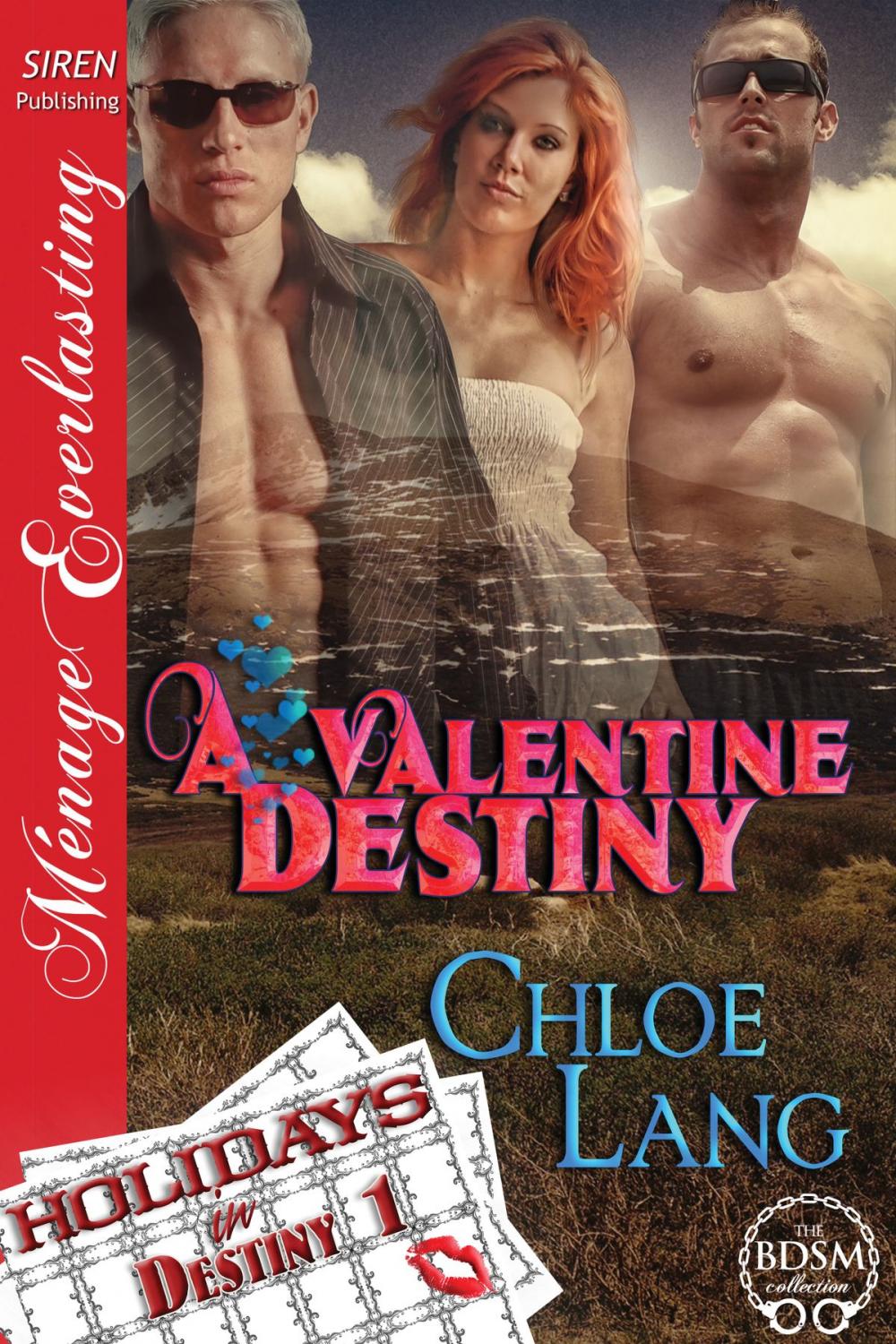 Big bigCover of A Valentine Destiny