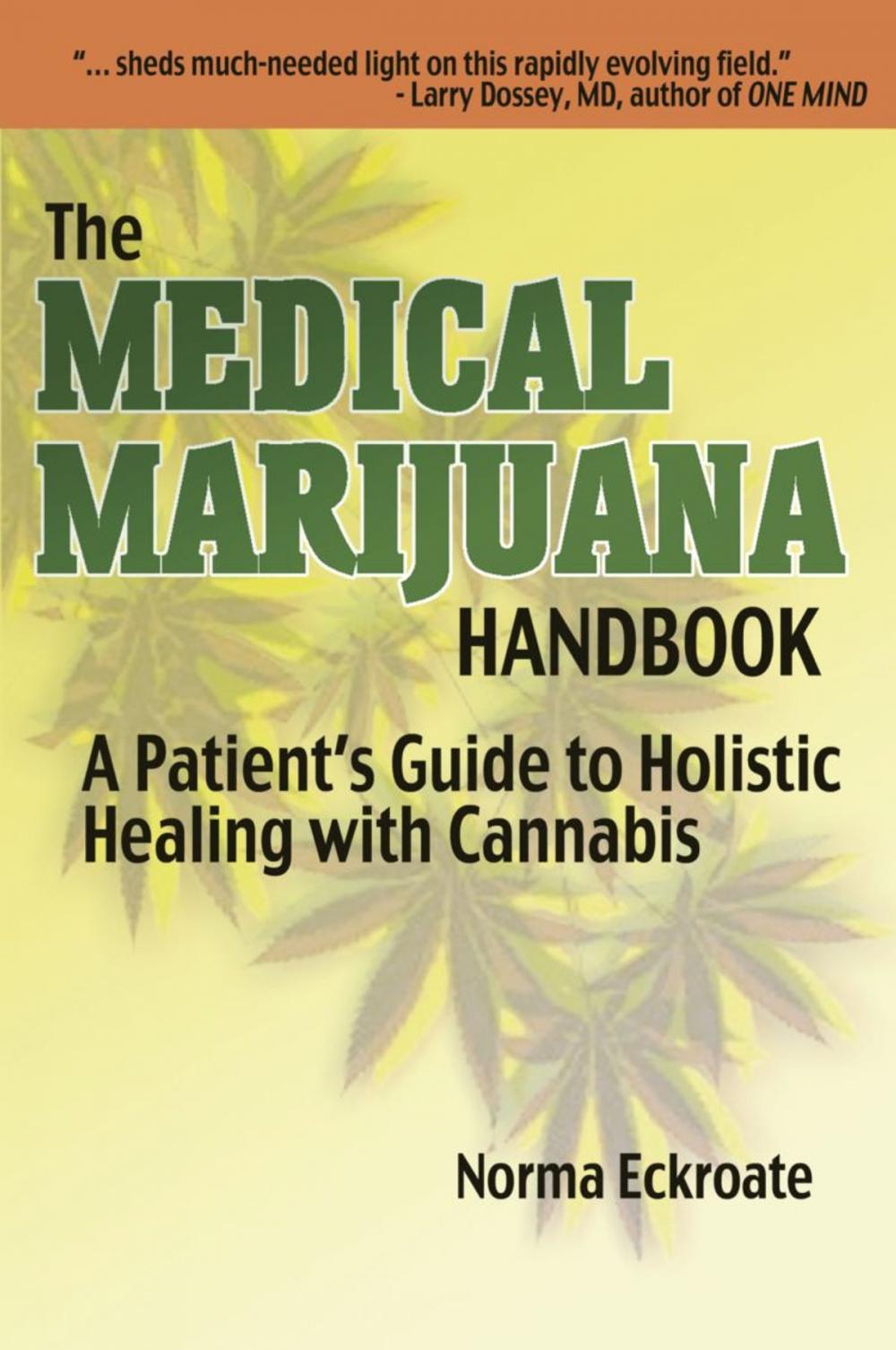 Big bigCover of THE MEDICAL MARIJUANA HANDBOOK: A Patient's Guide to Holistic Healing with Cannabis