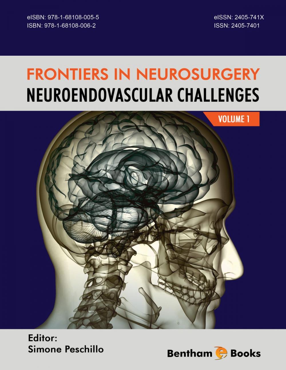 Big bigCover of Frontiers in Neurosurgery: NeuroEndovascular Challenges