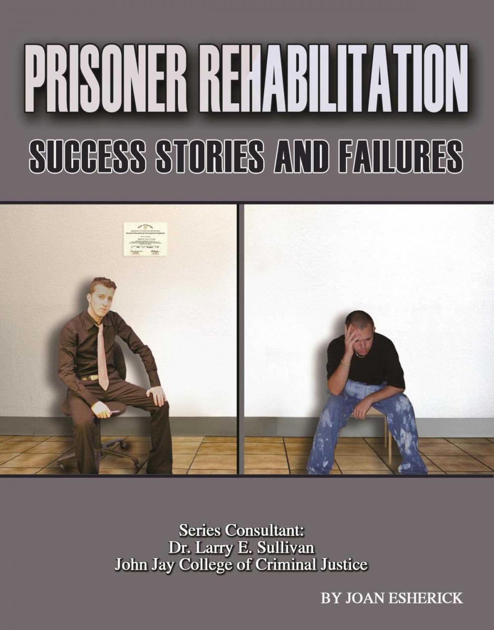 Big bigCover of Prisoner Rehabilitation: Success Stories And Failures