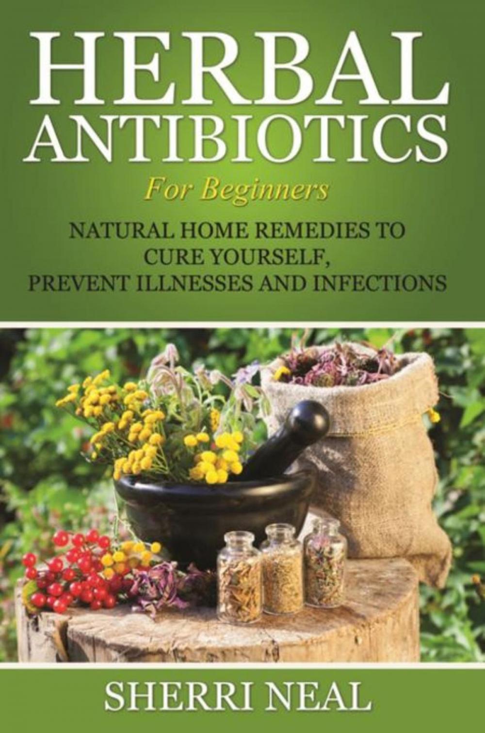 Big bigCover of Herbal Antibiotics For Beginners