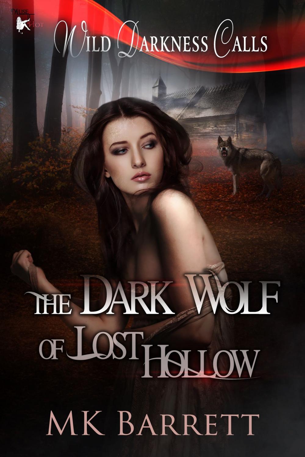 Big bigCover of The Dark Wolf of Lost Hollow