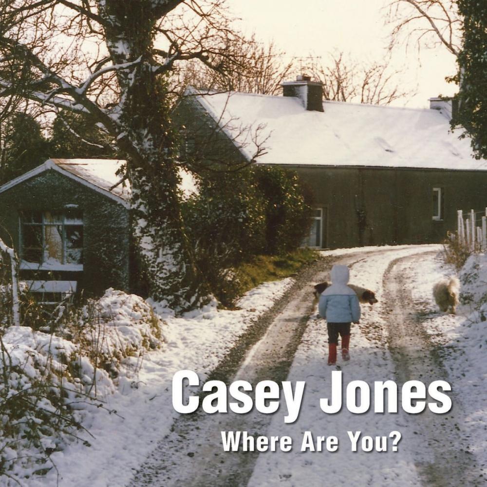 Big bigCover of Casey Jones - Where Are You? A Winter Tale of a Lost Toy