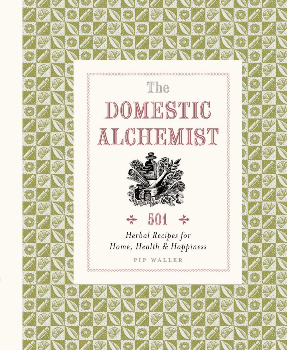 Big bigCover of Domestic Alchemist: 501 herbal recipes for home, health & happiness