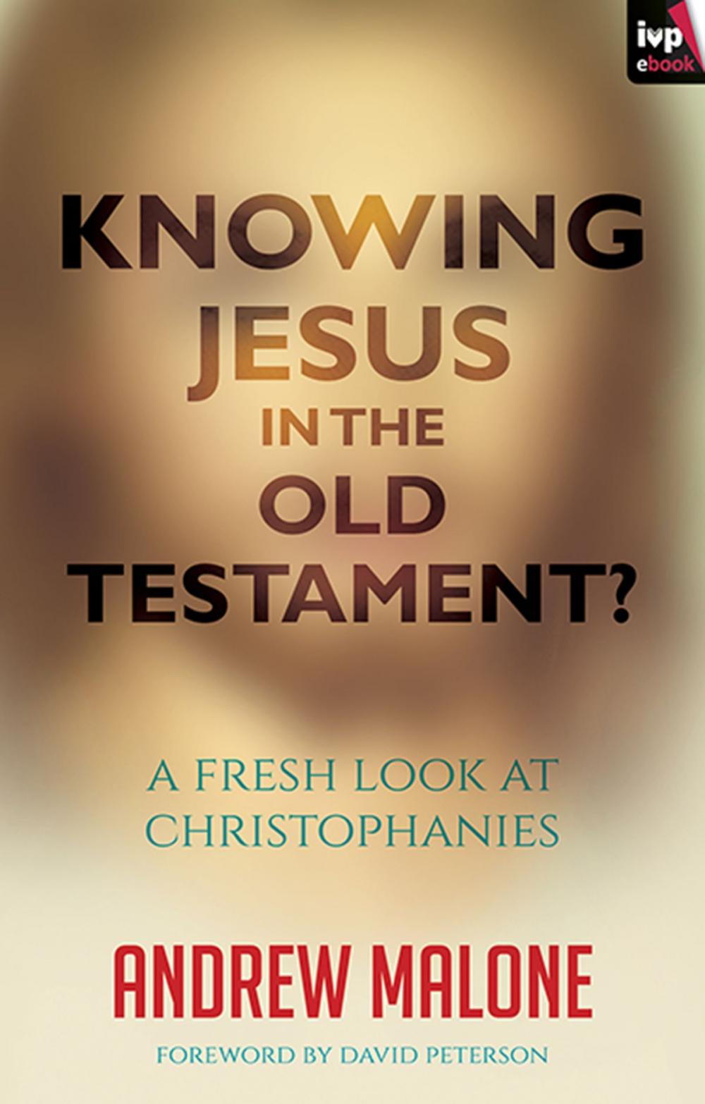 Big bigCover of Knowing Jesus in the Old Testament?