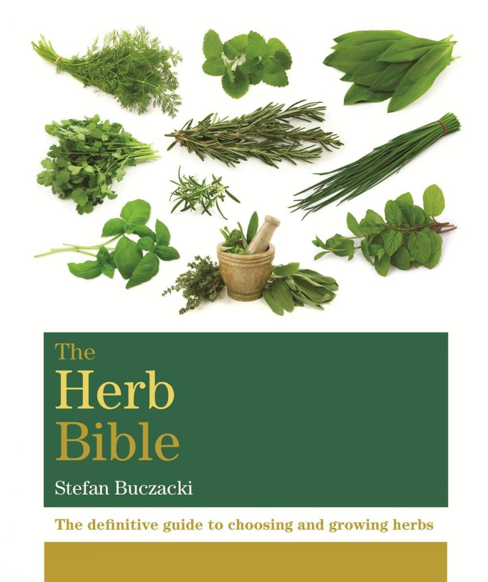 Big bigCover of The Herb Bible