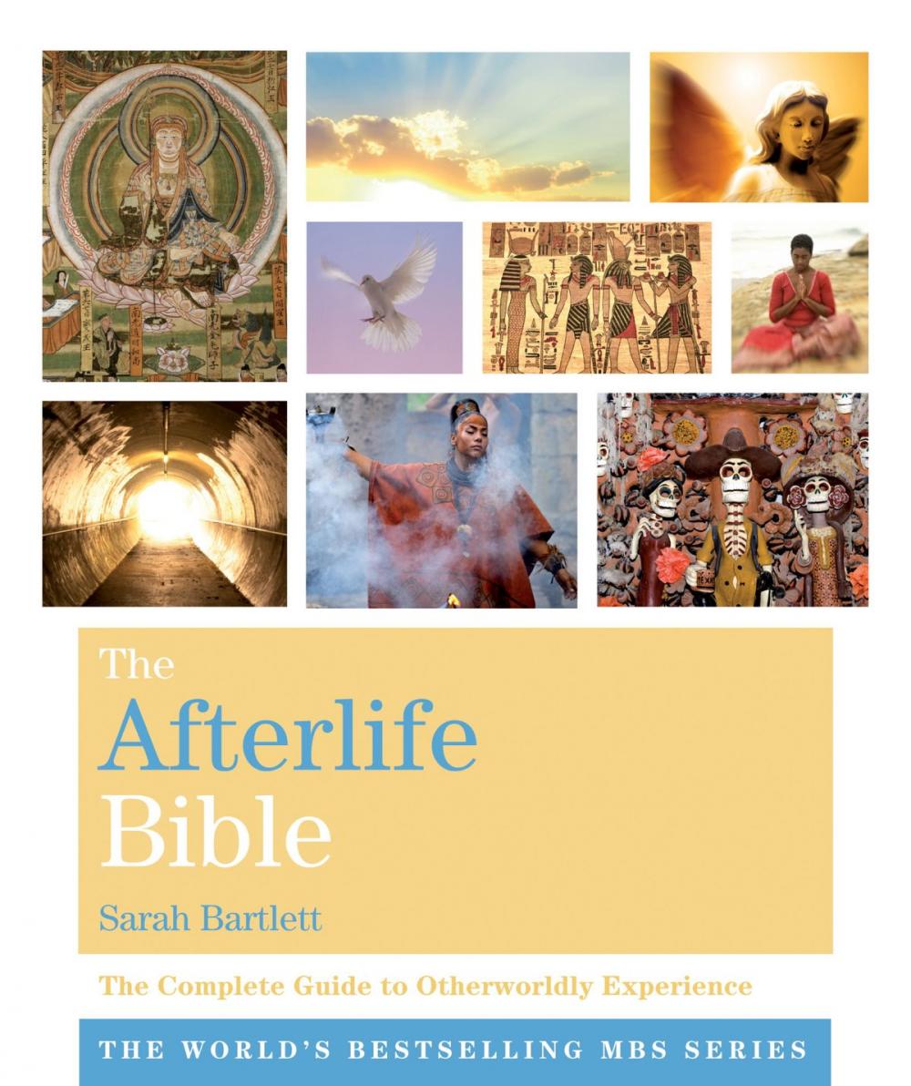 Big bigCover of The Afterlife Bible