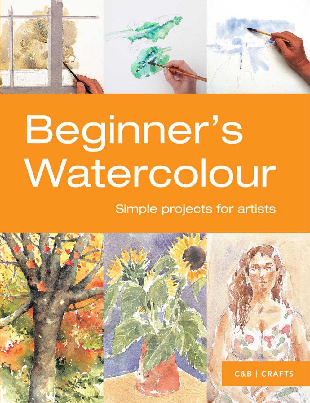 Big bigCover of Beginner's Watercolour