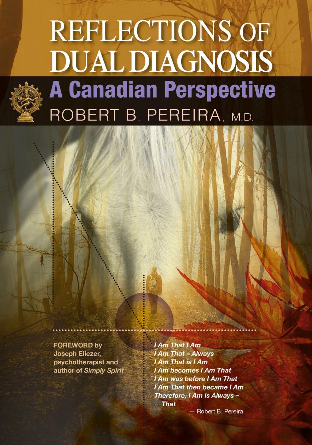 Big bigCover of Reflections of Dual Diagnosis: A Canadian Perspective