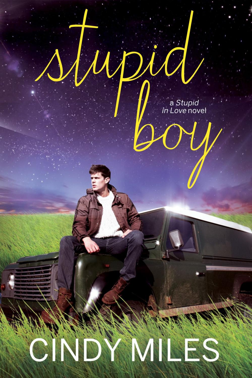 Big bigCover of Stupid Boy (New Adult Romance)