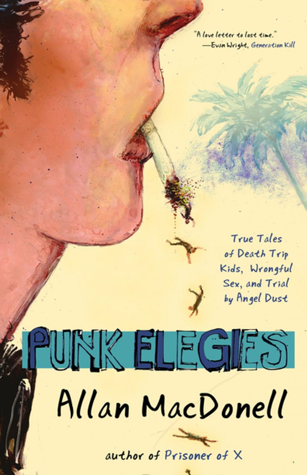 Big bigCover of Punk Elegies