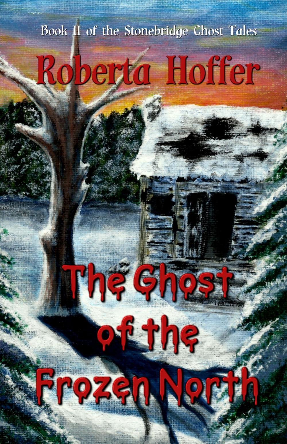 Big bigCover of The Ghost of the Frozen North