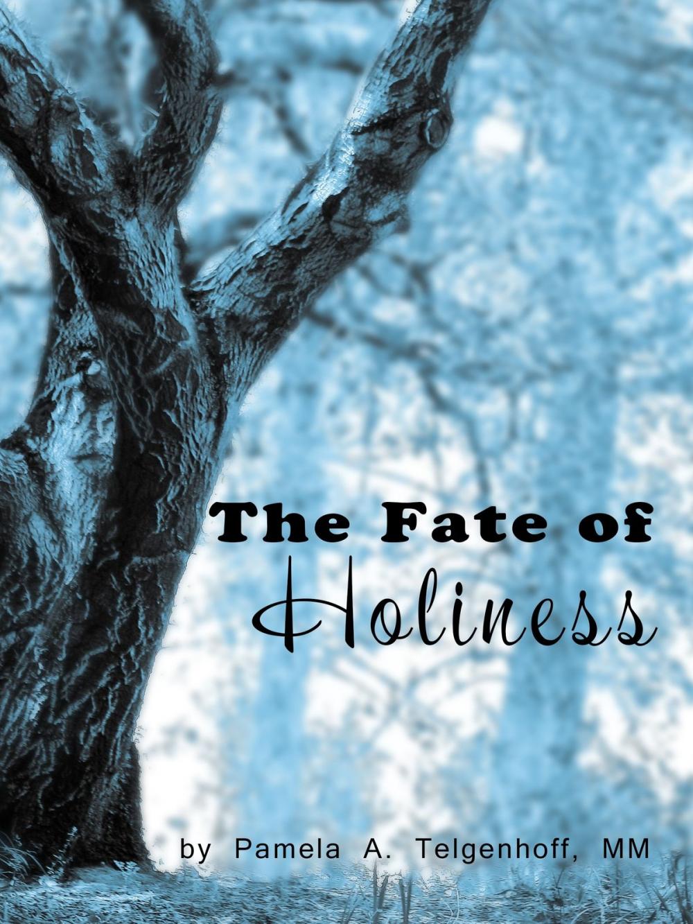 Big bigCover of The Fate of Holiness