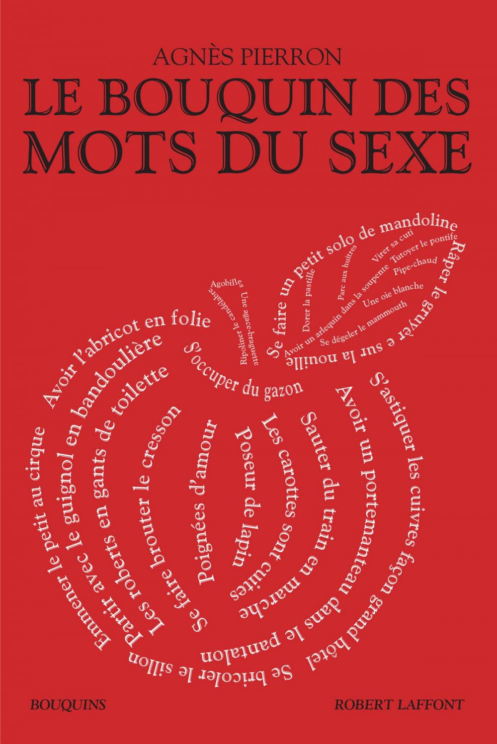 Big bigCover of Le Bouquin des mots du sexe