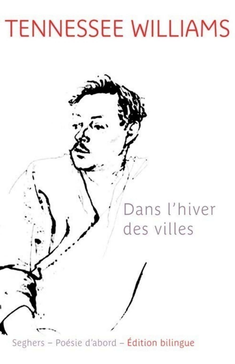 Big bigCover of Dans l'hiver des villes