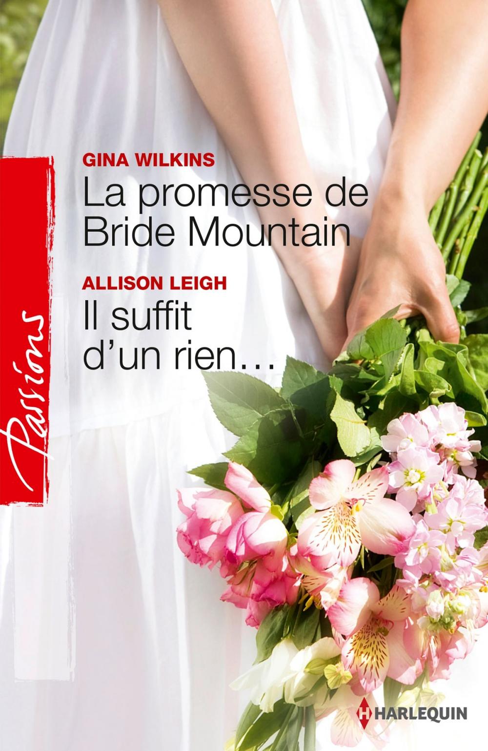 Big bigCover of La promesse de Bride Mountain - Il suffit d'un rien...