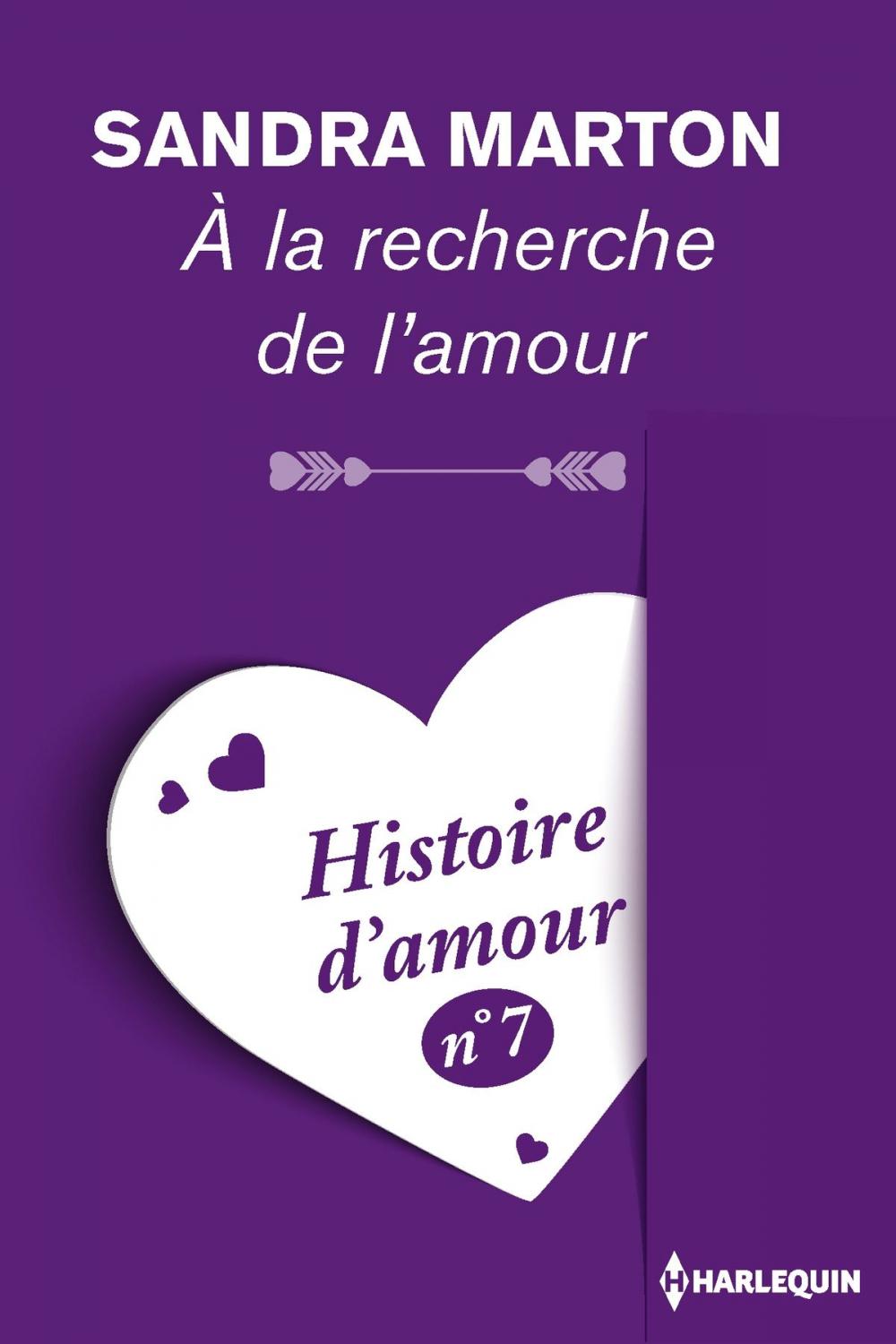 Big bigCover of A la recherche de l'amour - Histoire d'amour n° 7