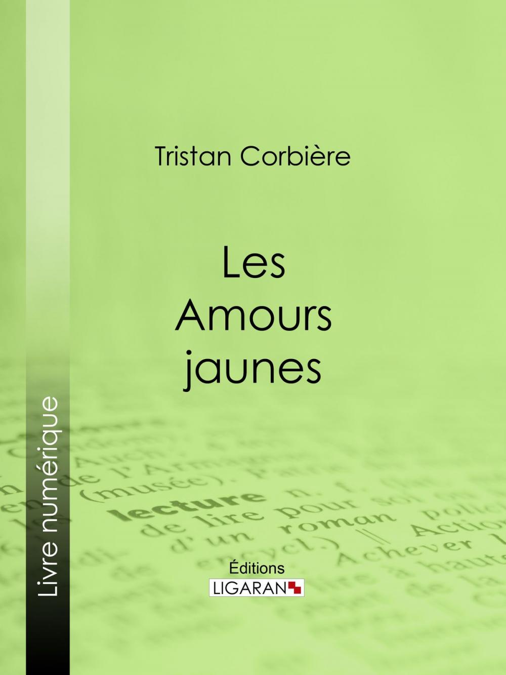 Big bigCover of Les Amours jaunes