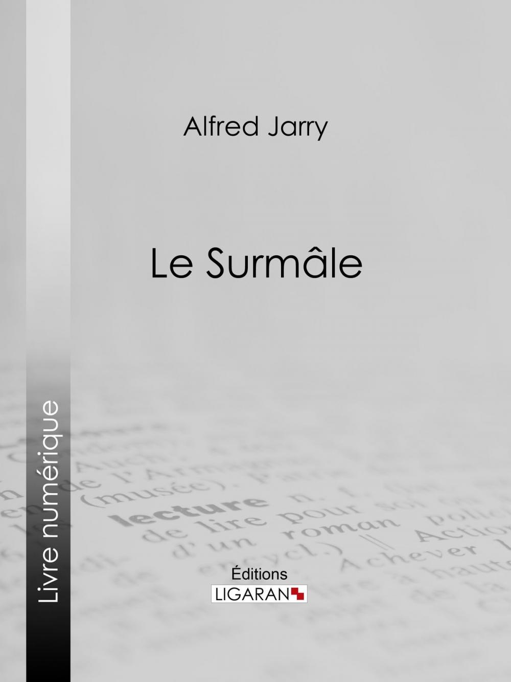 Big bigCover of Le Surmâle