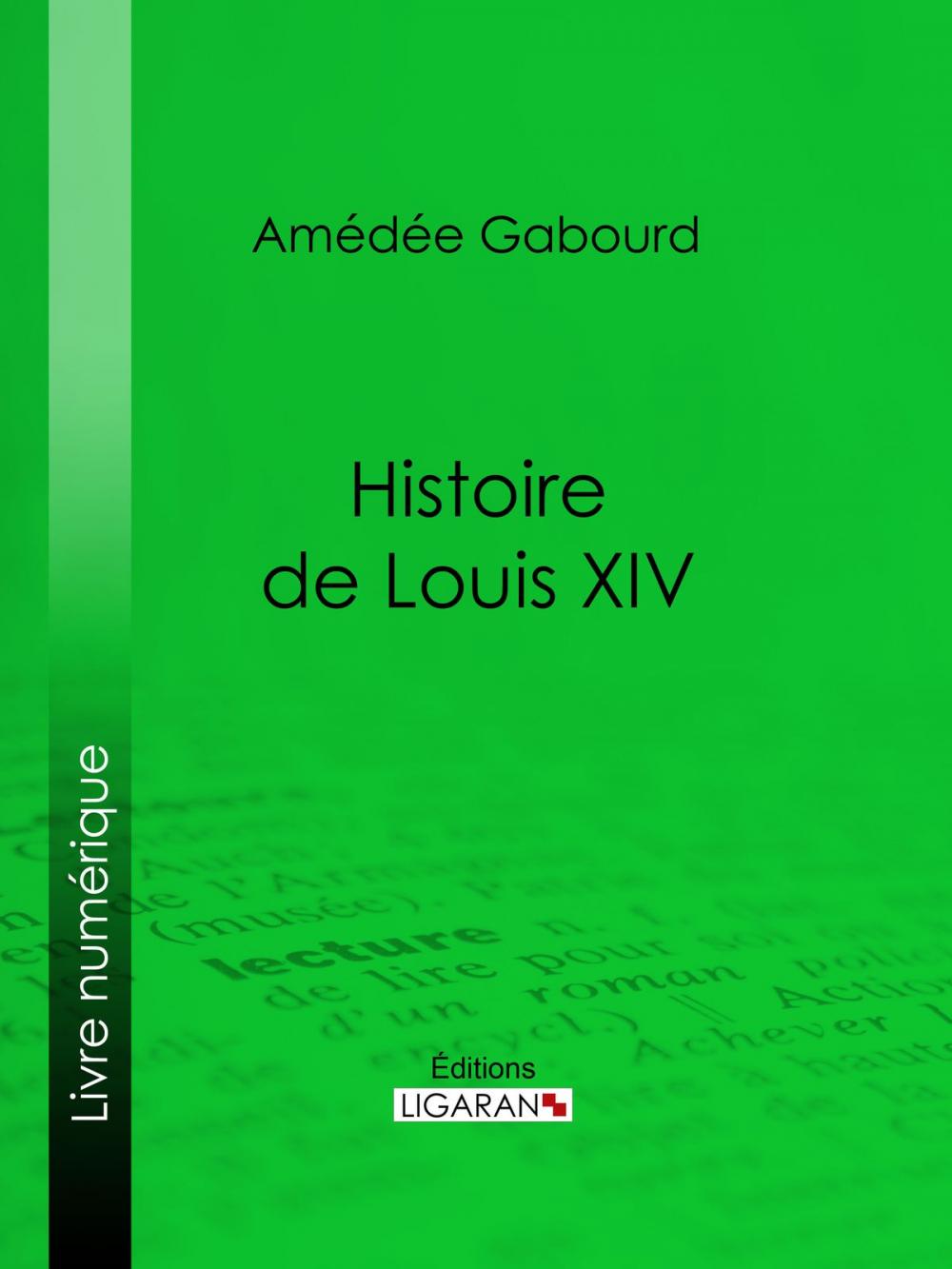 Big bigCover of Histoire de Louis XIV