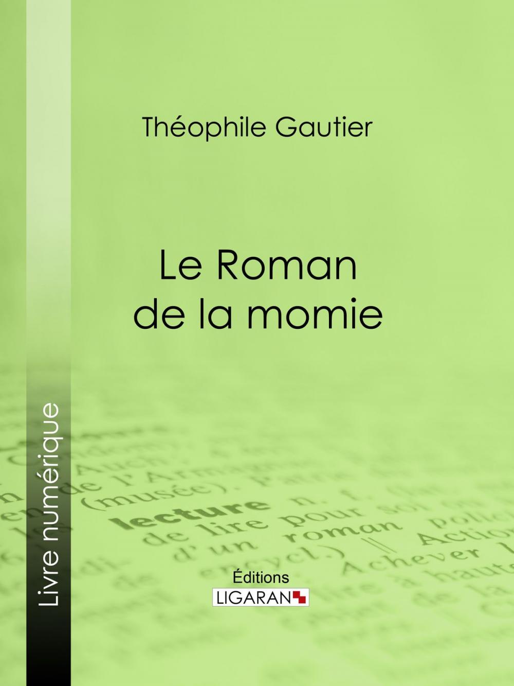 Big bigCover of Le Roman de la momie