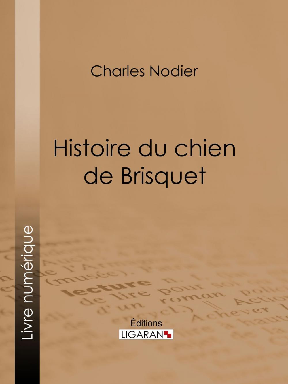 Big bigCover of Histoire du chien de Brisquet