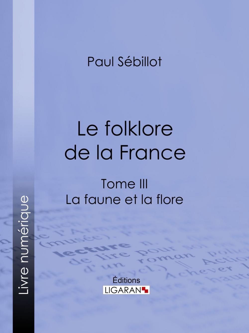 Big bigCover of Le Folk-Lore de la France