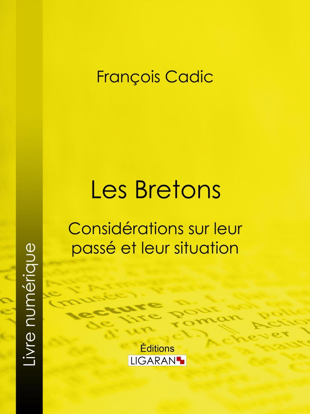 Big bigCover of Les Bretons