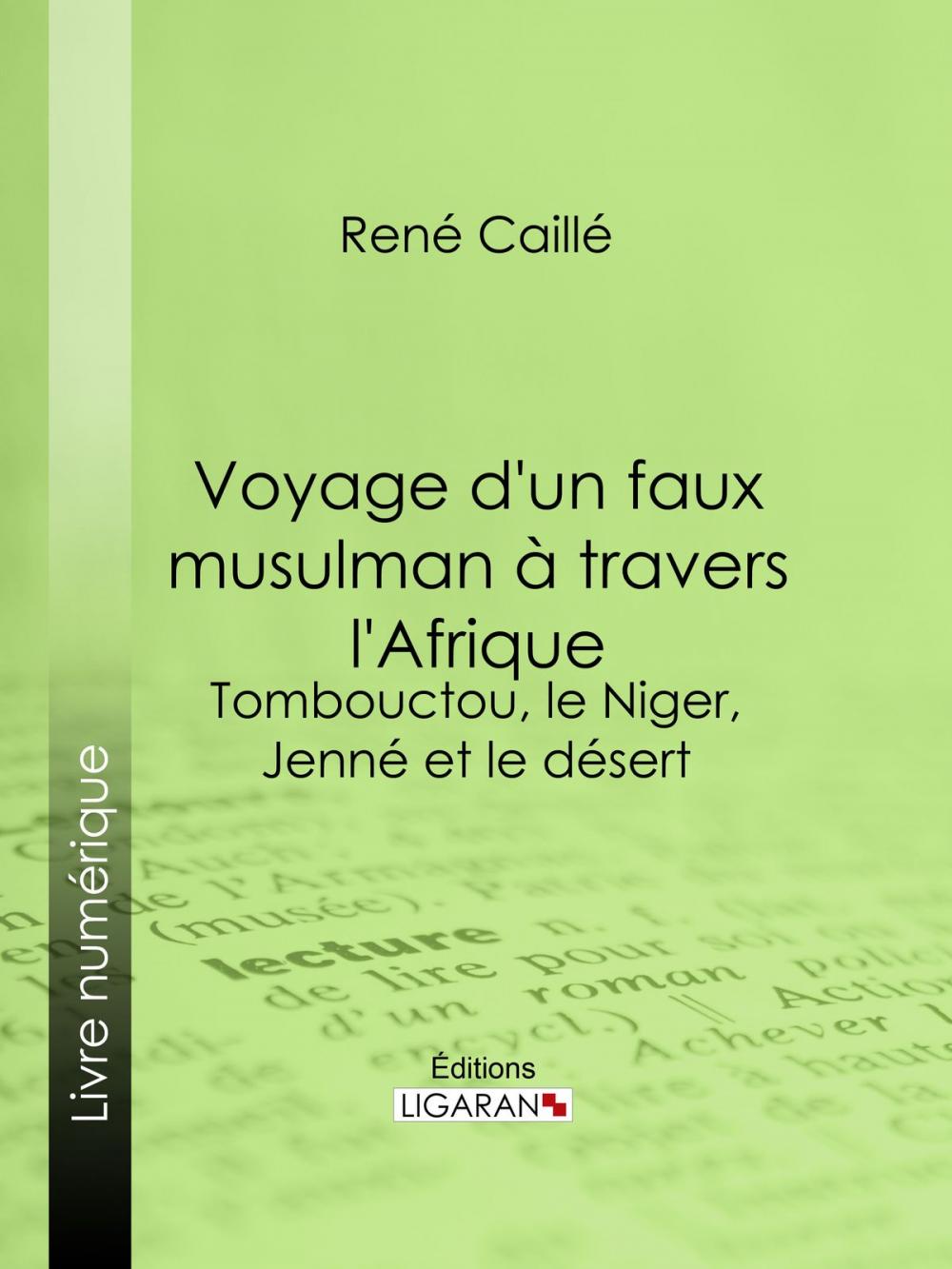 Big bigCover of Voyage d'un faux musulman à travers l'Afrique