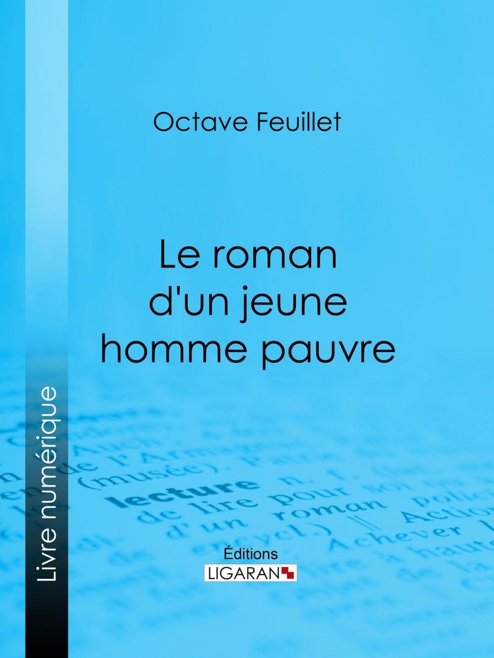 Big bigCover of Le roman d'un jeune homme pauvre