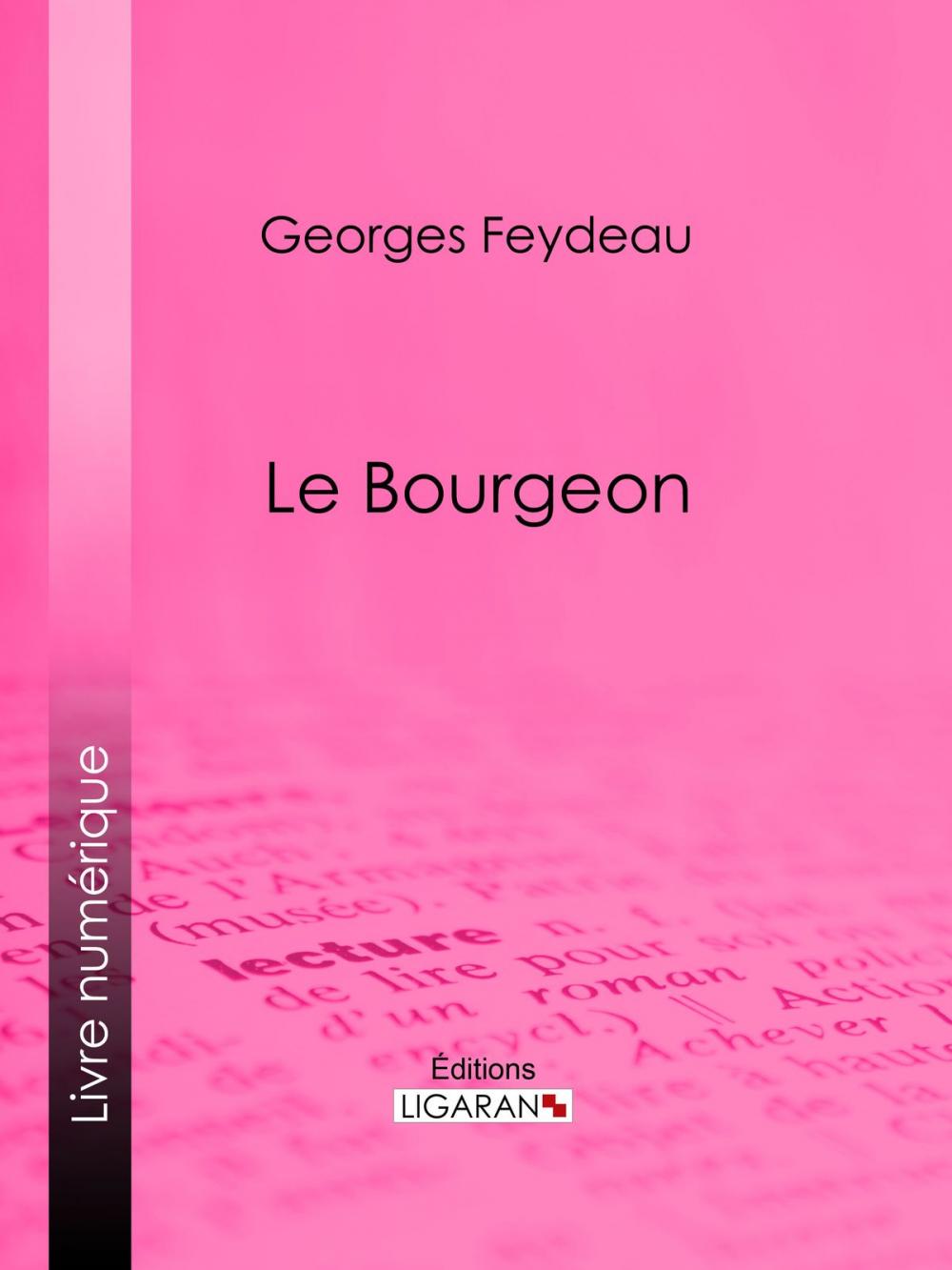 Big bigCover of Le Bourgeon