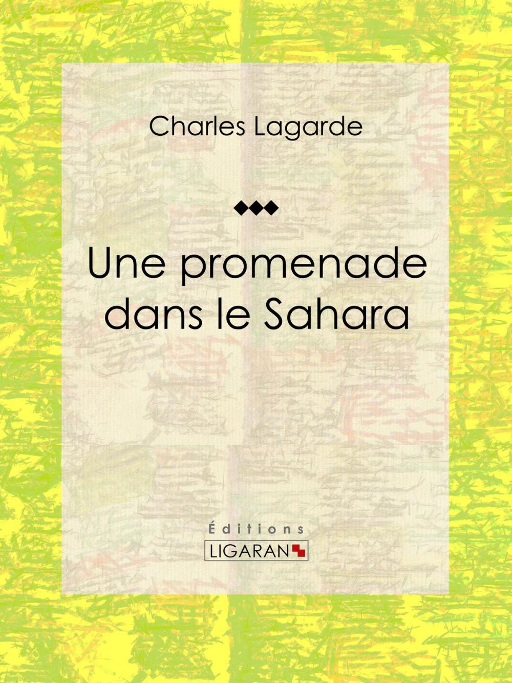 Big bigCover of Une promenade dans le Sahara