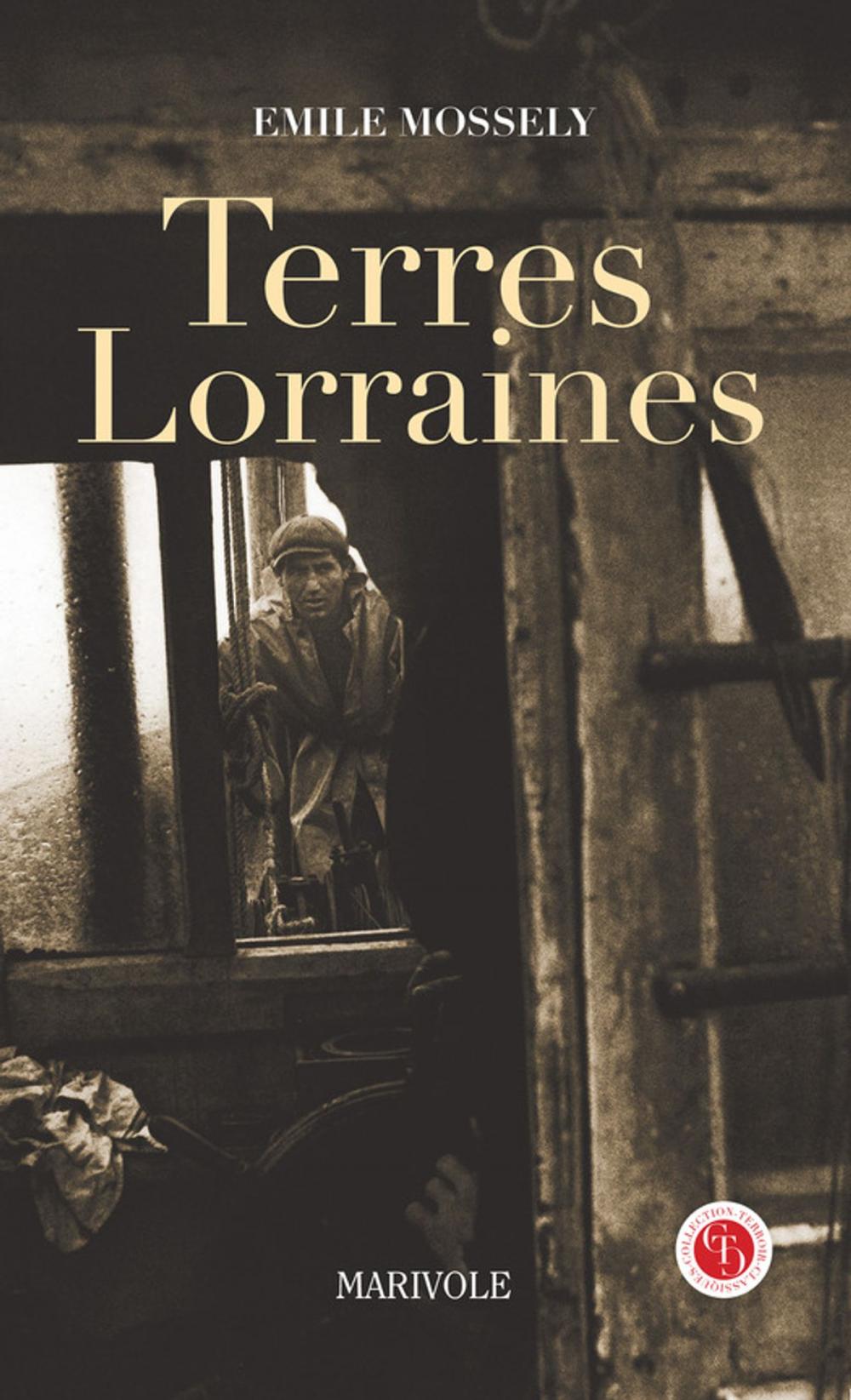 Big bigCover of Terres lorraines