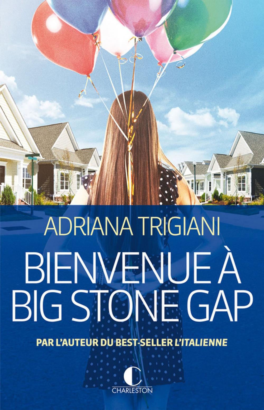 Big bigCover of Bienvenue à Big Stone Gap