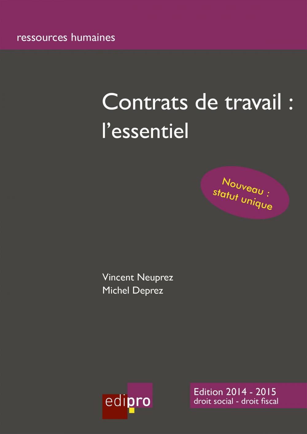 Big bigCover of Contrats de travail : l'essentiel