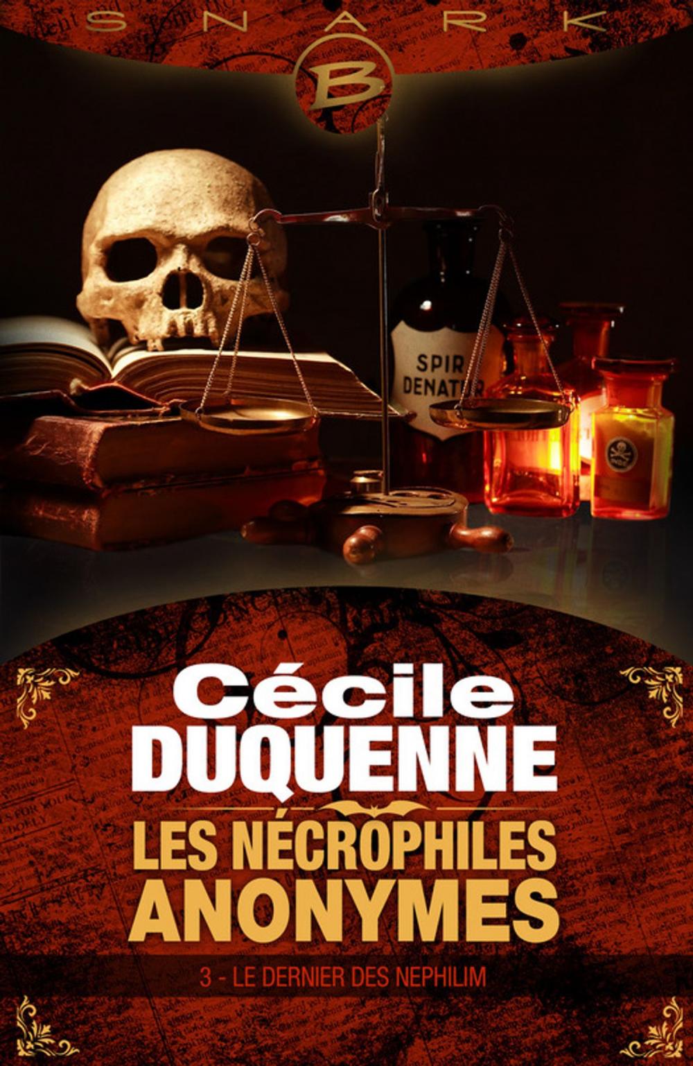 Big bigCover of Le Dernier des Nephilim