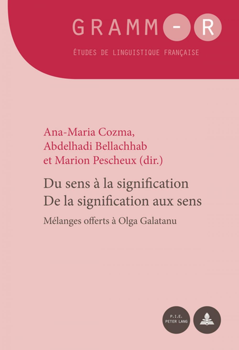 Big bigCover of Du sens à la signification / De la signification aux sens