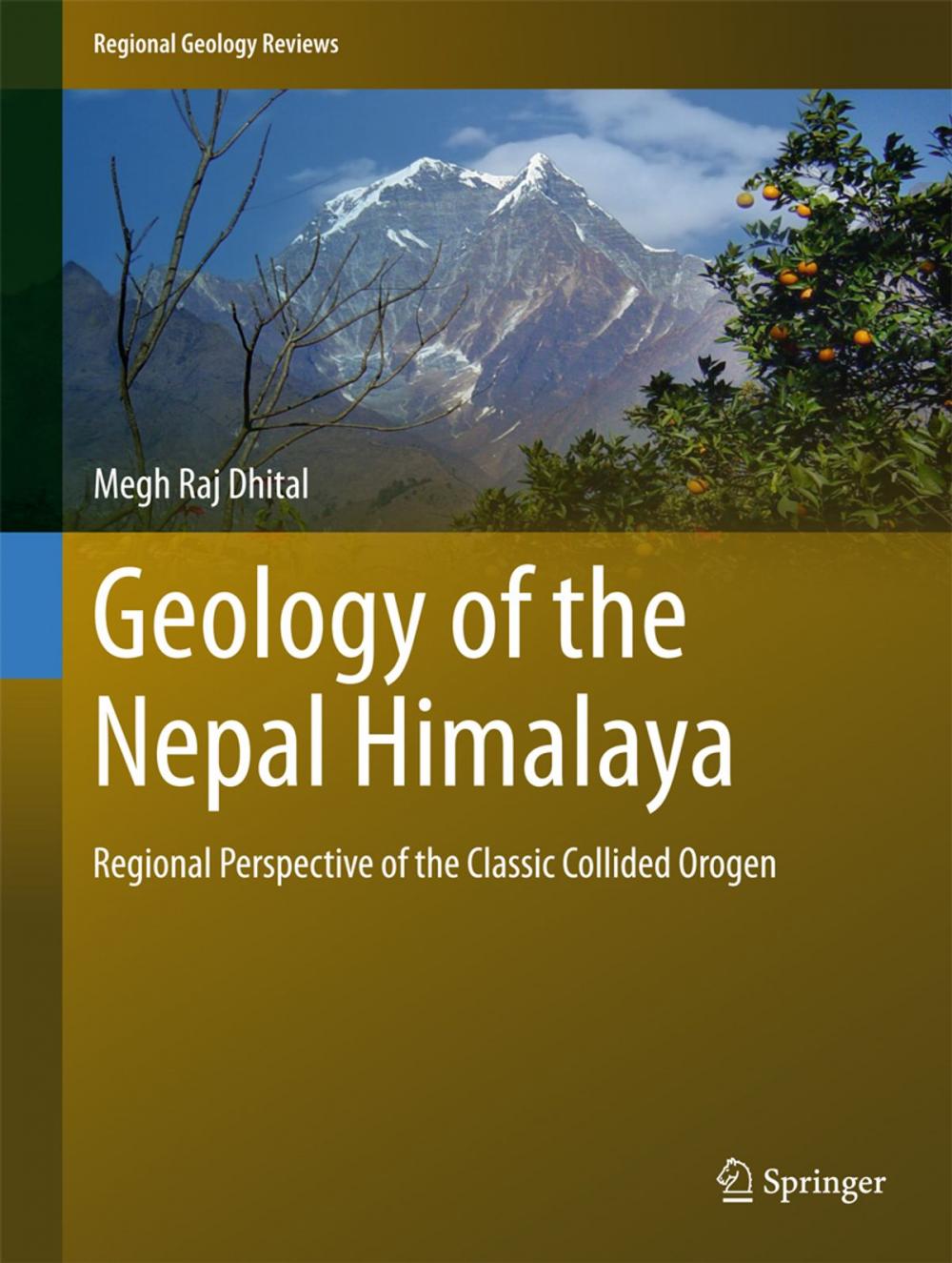 Big bigCover of Geology of the Nepal Himalaya