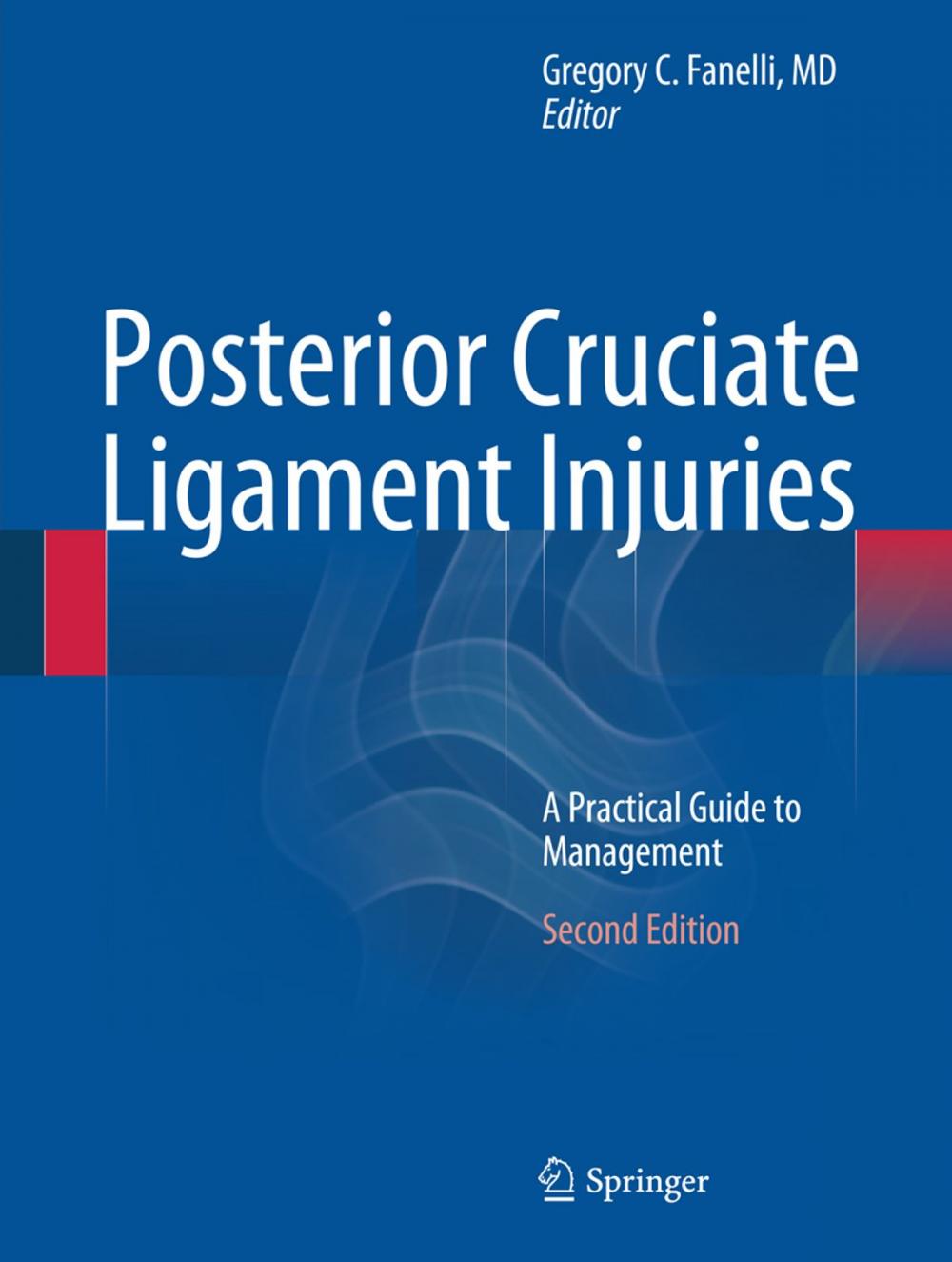 Big bigCover of Posterior Cruciate Ligament Injuries