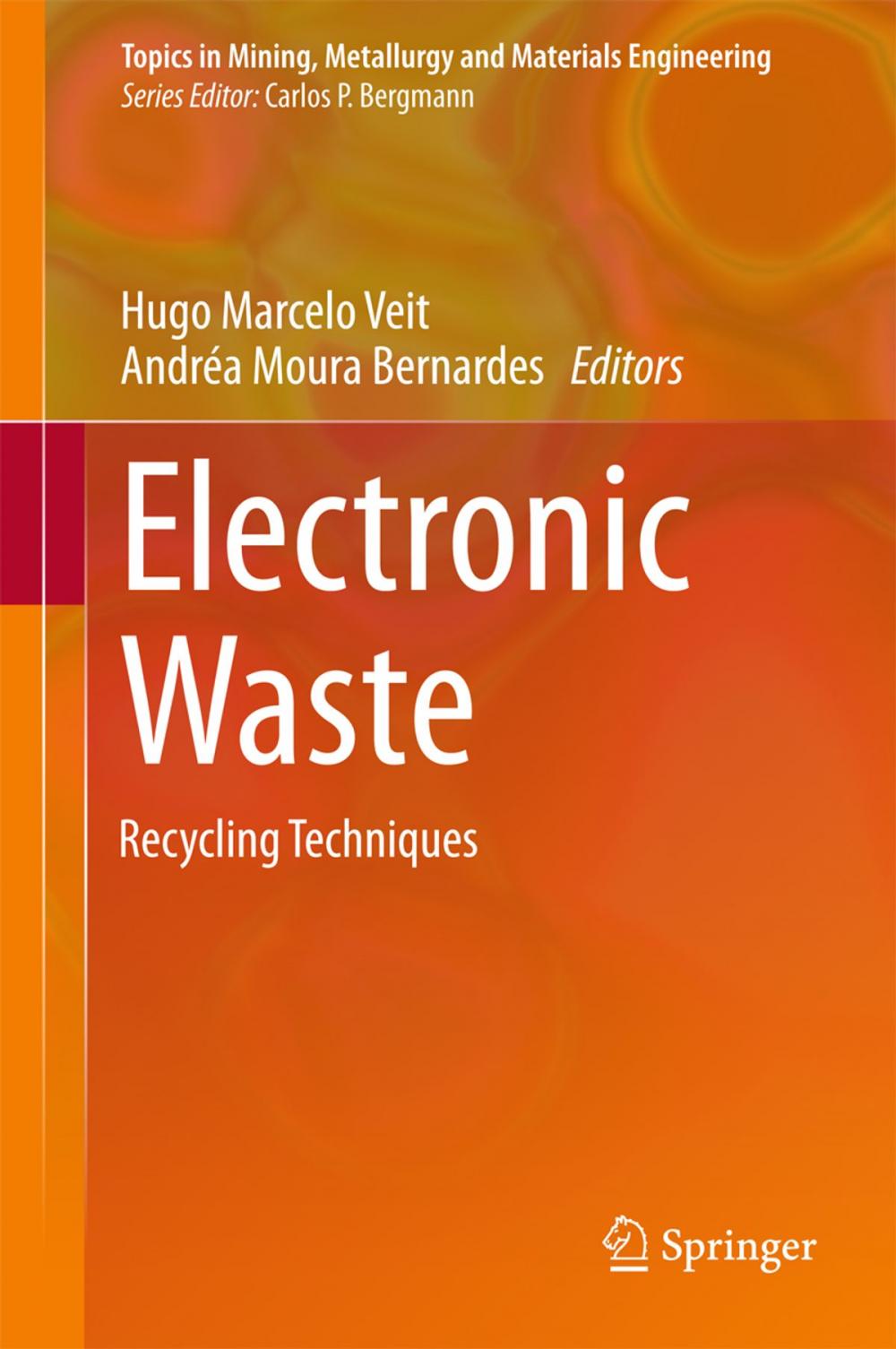 Big bigCover of Electronic Waste