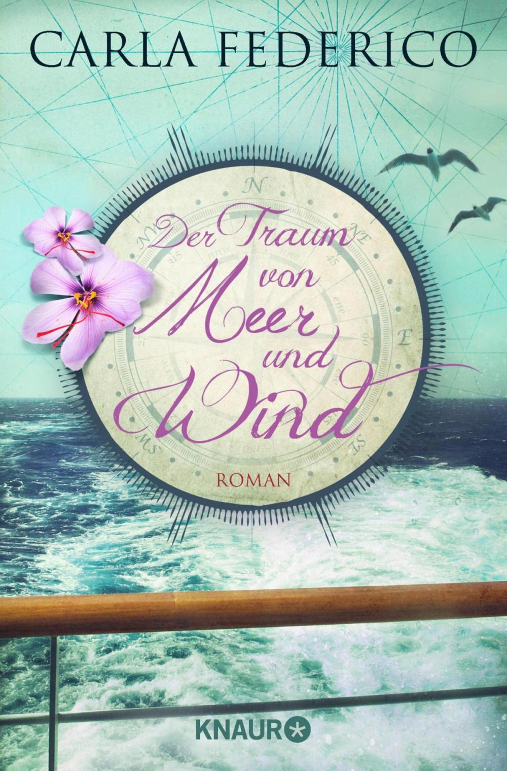 Big bigCover of Der Traum von Meer und Wind