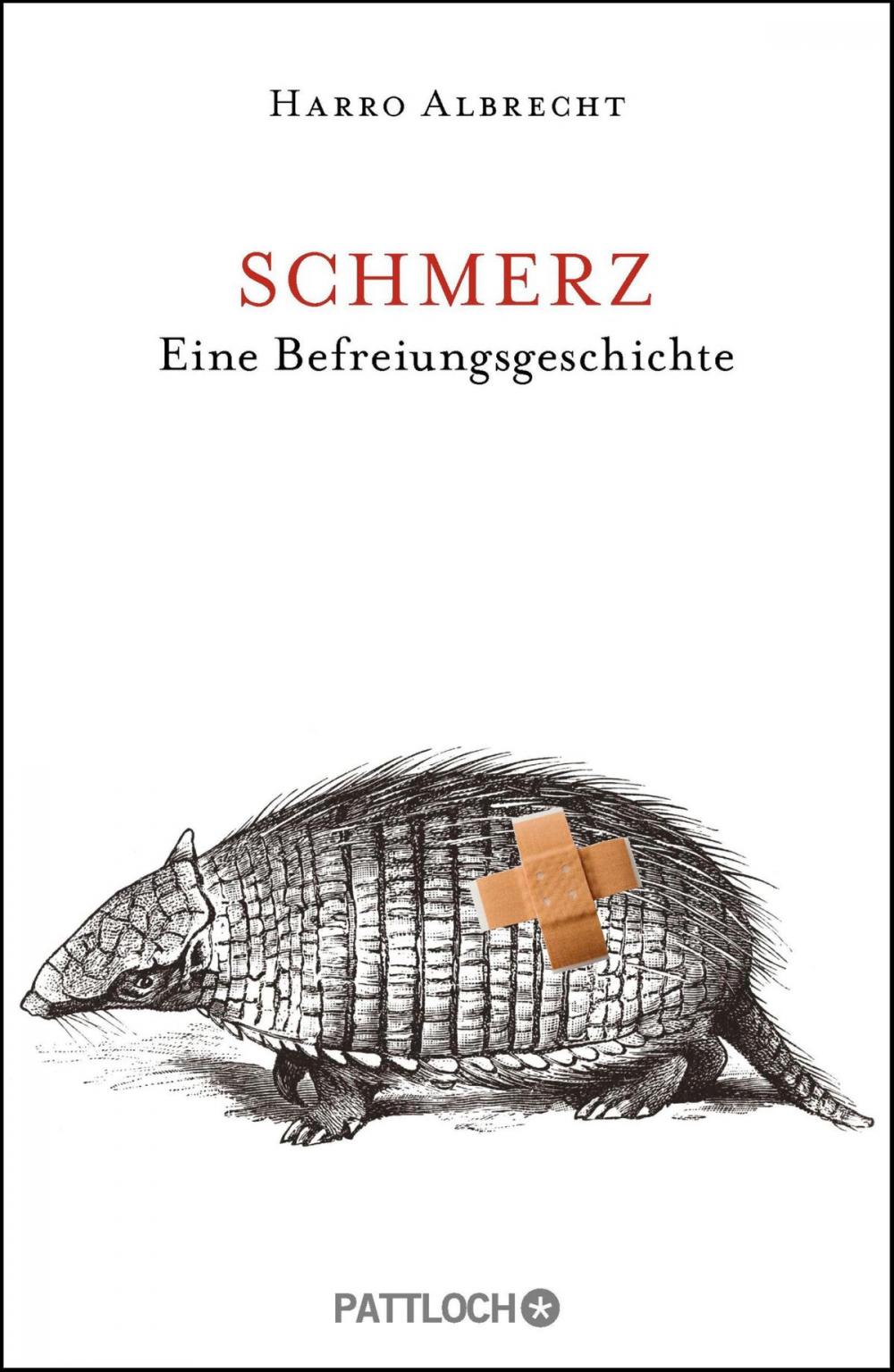 Big bigCover of Schmerz