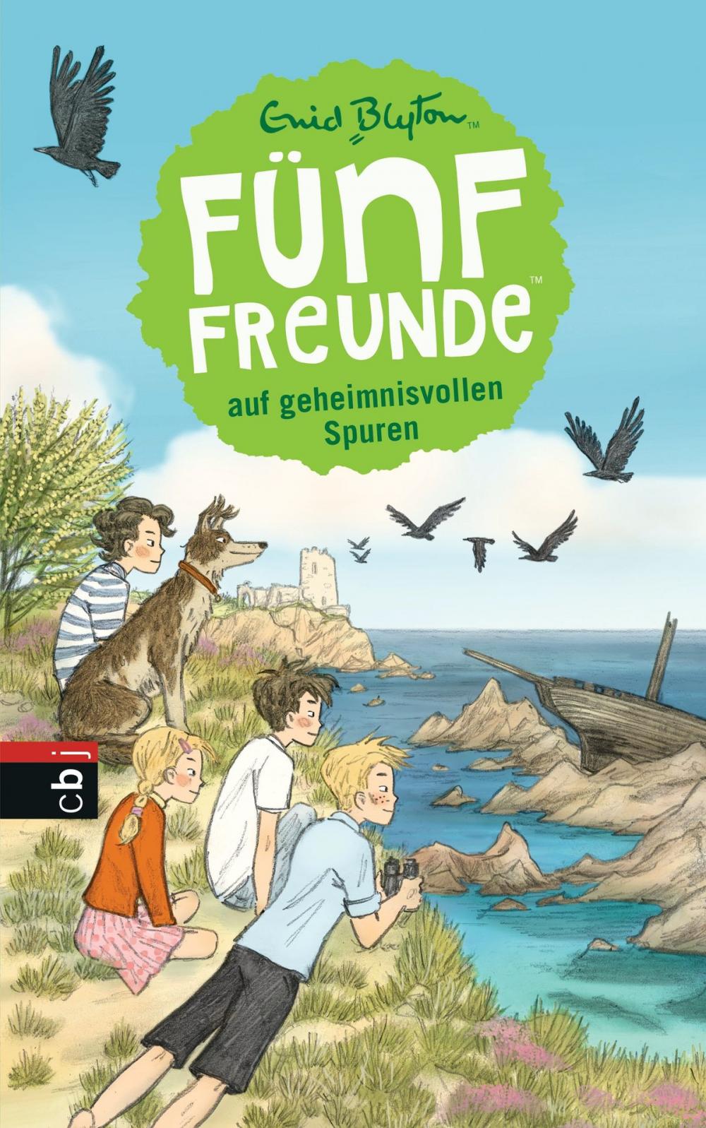 Big bigCover of Fünf Freunde auf geheimnisvollen Spuren