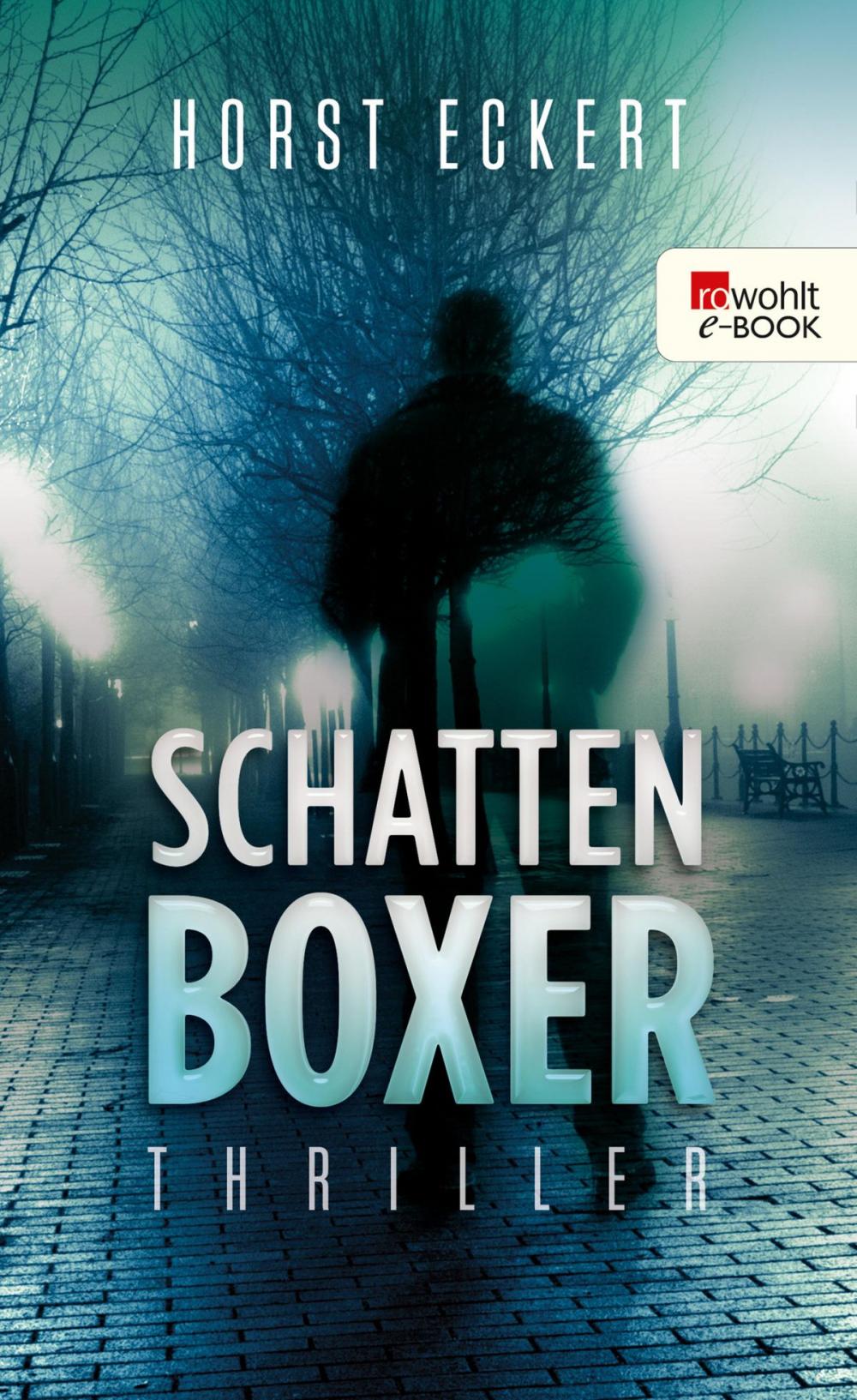 Big bigCover of Schattenboxer