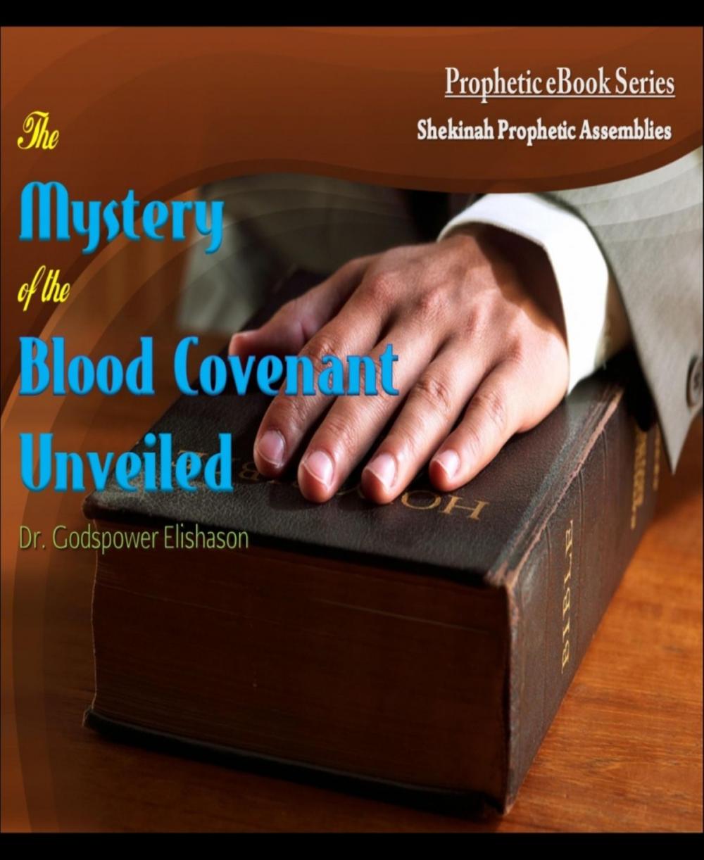 Big bigCover of The Mystery of the Blood Covenant Unveiled